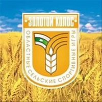 Результаты первого этапа зональных соревнований по баскетболу